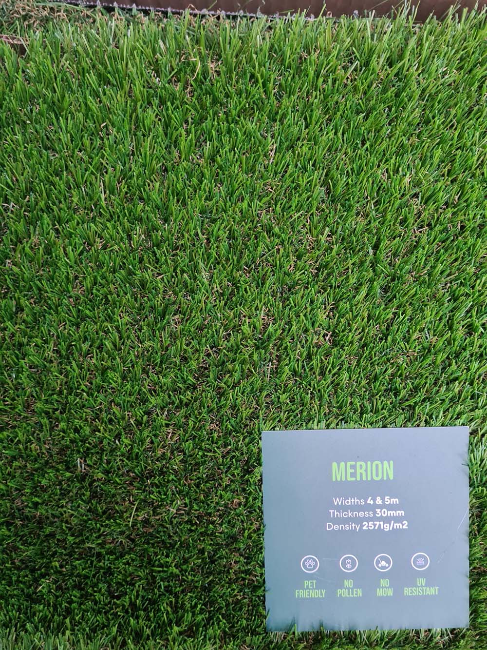 Merion Artificial Grass